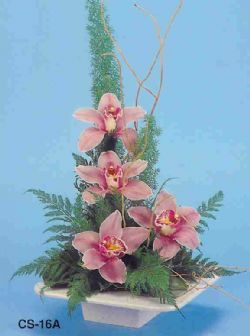  Edirne online iek gnderme sipari  vazoda 4 adet orkide 