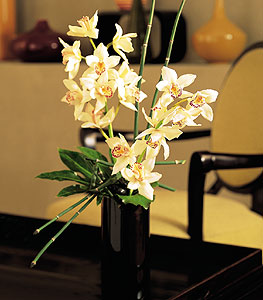 Edirne iek servisi , ieki adresleri  cam yada mika vazo ierisinde dal orkide