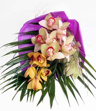  Edirne online ieki , iek siparii  1 adet dal orkide buket halinde sunulmakta