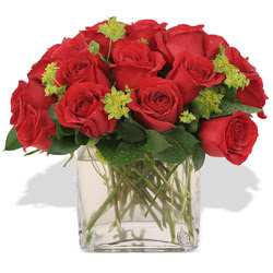  Edirne online çiçek gönderme sipariş  10 adet kirmizi gül ve cam yada mika vazo
