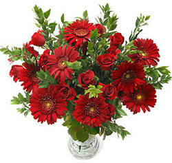 5 adet kirmizi gül 5 adet gerbera aranjmani  Edirne 14 şubat sevgililer günü çiçek 