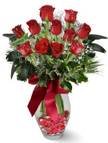 9 adet gül  Edirne çiçek online çiçek siparişi  kirmizi gül