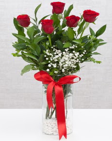 cam vazo içerisinde 5 adet kırmızı gül  Edirne online çiçekçi , çiçek siparişi 