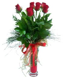vazo içerisinde 5 kırmızı gül  Edirne ucuz çiçek gönder 