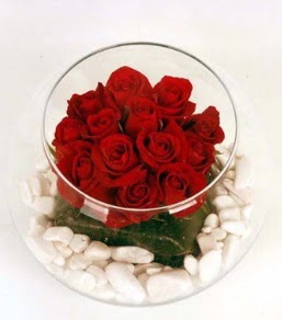 Cam fanusta 11 adet kırmızı gül  Edirne çiçek siparişi vermek 