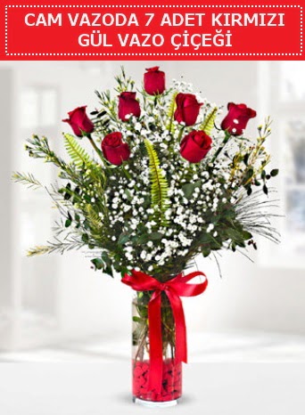 Cam vazoda 7 adet kırmızı gül çiçeği  Edirne çiçekçiler 