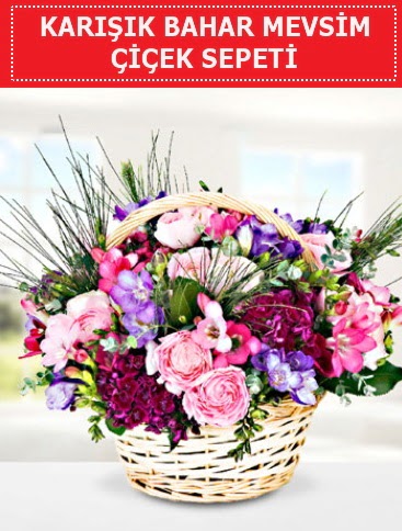 Karışık mevsim bahar çiçekleri  Edirne uluslararası çiçek gönderme 