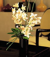  Edirne çiçek servisi , çiçekçi adresleri  cam yada mika vazo içerisinde dal orkide