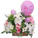 balon ve çiçeklerle tanzim  Edirne çiçek online çiçek siparişi 