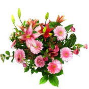 lilyum ve gerbera çiçekleri - çiçek seçimi -  Edirne çiçek siparişi vermek 