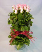 13 adet pembe gül silindirde   Edirne internetten çiçek siparişi 