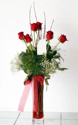  Edirne online çiçekçi , çiçek siparişi  6 adet kirmizi gül ve cam yada mika vazo