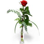  Edirne online çiçek gönderme sipariş  1 adet kirmizi gül cam yada mika vazo içerisinde