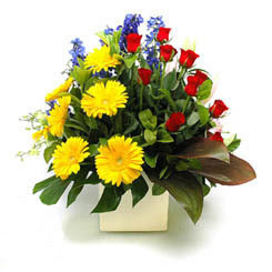  Edirne güvenli kaliteli hızlı çiçek  9 adet gül ve kir çiçekleri cam yada mika vazoda