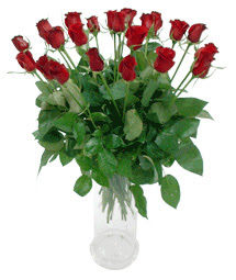 Edirne online çiçek gönderme sipariş  11 adet kimizi gülün ihtisami cam yada mika vazo modeli