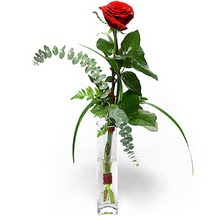  Edirne İnternetten çiçek siparişi  Sana deger veriyorum bir adet gül cam yada mika vazoda
