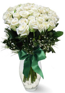 19 adet essiz kalitede beyaz gül  Edirne çiçek servisi , çiçekçi adresleri 