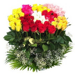  Edirne çiçek satışı  51 adet renkli güllerden aranjman tanzimi