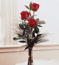  Edirne çiçek online çiçek siparişi  Vazoda 3 adet güzel gül