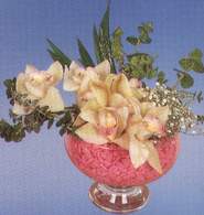  Edirne çiçek satışı  Dal orkide kalite bir hediye