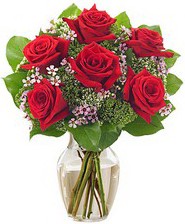 Kız arkadaşıma hediye 6 kırmızı gül  Edirne çiçek mağazası , çiçekçi adresleri 