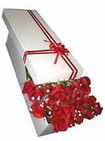  Edirne online çiçek gönderme sipariş  11 adet 1.kalite magnum güller