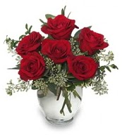 Vazo içerisinde 5 adet kırmızı gül  Edirne anneler günü çiçek yolla 