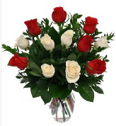 Vazo içerisinde 6 kırmızı 6 beyaz gül  Edirne 14 şubat sevgililer günü çiçek 