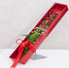 Kutu içerisinde 3 adet kırmızı gül  Edirne güvenli kaliteli hızlı çiçek 