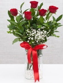 cam vazo içerisinde 5 adet kırmızı gül  Edirne online çiçekçi , çiçek siparişi 