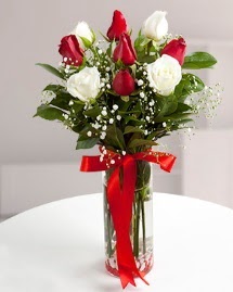 5 kırmızı 4 beyaz gül vazoda  Edirne online çiçekçi , çiçek siparişi 