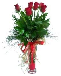 vazo içerisinde 5 kırmızı gül  Edirne ucuz çiçek gönder 