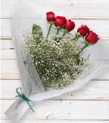 5 kırmızı gülden sade buket  Edirne internetten çiçek siparişi 
