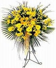  Edirne hediye çiçek yolla  Sari kazablanka Ferforje