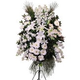  Edirne yurtiçi ve yurtdışı çiçek siparişi  Ferforje beyaz renkli kazablanka
