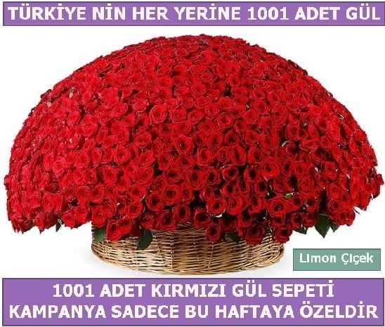 1001 Adet kırmızı gül Bu haftaya özel  Edirne internetten çiçek satışı 
