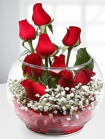 Kırmızı Mutluluk fanusta 9 kırmızı gül  Edirne hediye sevgilime hediye çiçek 