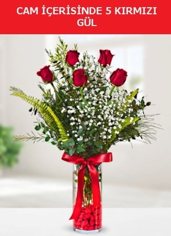 Cam içerisinde 5 adet kırmızı gül  Edirne hediye sevgilime hediye çiçek 