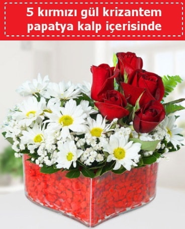 mika kalp içerisinde 5 kırmızı gül papatya  Edirne çiçek siparişi vermek 