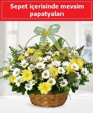 Sepet içerisinde mevsim papatyaları  Edirne uluslararası çiçek gönderme 